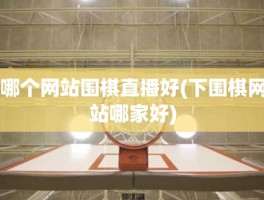 哪个网站围棋直播好(下围棋网站哪家好)