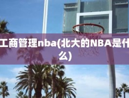 工商管理nba(北大的NBA是什么)