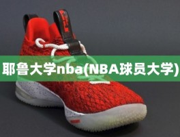 耶鲁大学nba(NBA球员大学)