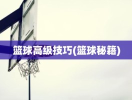 篮球高级技巧(篮球秘籍)