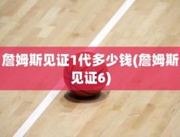 詹姆斯见证1代多少钱(詹姆斯见证6)