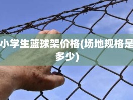 小学生篮球架价格(场地规格是多少)