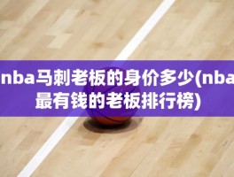 nba马刺老板的身价多少(nba最有钱的老板排行榜)