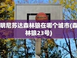 明尼苏达森林狼在哪个城市(森林狼23号)