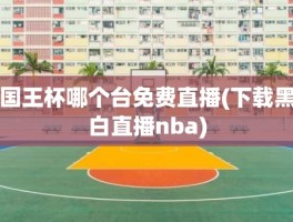 国王杯哪个台免费直播(下载黑白直播nba)