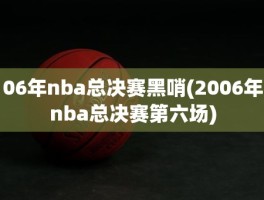 06年nba总决赛黑哨(2006年nba总决赛第六场)