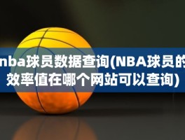 nba球员数据查询(NBA球员的效率值在哪个网站可以查询)