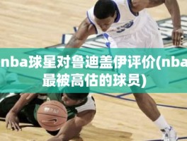 nba球星对鲁迪盖伊评价(nba最被高估的球员)