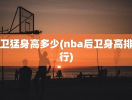 卫猛身高多少(nba后卫身高排行)