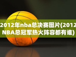 2012年nba总决赛图片(2012NBA总冠军热火阵容都有谁)