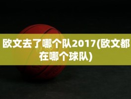 欧文去了哪个队2017(欧文都在哪个球队)