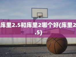 库里2.5和库里2哪个好(库里2.5)