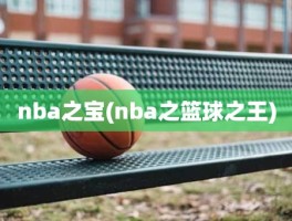 nba之宝(nba之篮球之王)