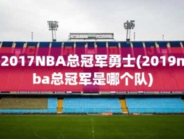 2017NBA总冠军勇士(2019nba总冠军是哪个队)