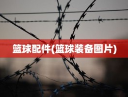 篮球配件(篮球装备图片)