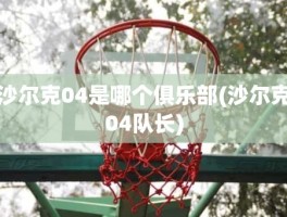 沙尔克04是哪个俱乐部(沙尔克04队长)