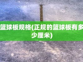 篮球板规格(正规的篮球板有多少厘米)