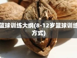 篮球训练大纲(8-12岁篮球训练方式)