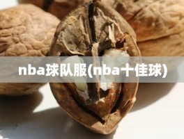 nba球队服(nba十佳球)