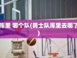 库里 哪个队(勇士队库里去哪了)