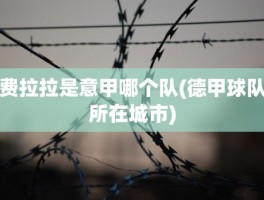 费拉拉是意甲哪个队(德甲球队所在城市)