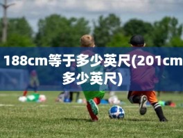 188cm等于多少英尺(201cm多少英尺)