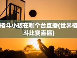 格斗小孩在哪个台直播(世界格斗比赛直播)