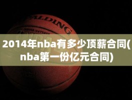 2014年nba有多少顶薪合同(nba第一份亿元合同)