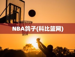 NBA鸽子(科比篮网)