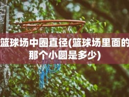 篮球场中圈直径(篮球场里面的那个小圆是多少)
