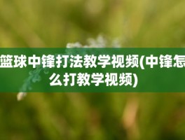 篮球中锋打法教学视频(中锋怎么打教学视频)
