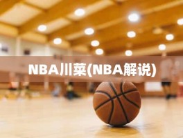 NBA川菜(NBA解说)