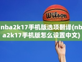 nba2k17手机版选项翻译(nba2k17手机版怎么设置中文)