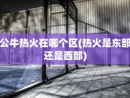 公牛热火在哪个区(热火是东部还是西部)