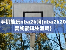 手机能玩nba2k吗(nba2k20离线能玩生涯吗)