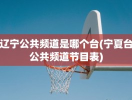 辽宁公共频道是哪个台(宁夏台公共频道节目表)