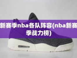 新赛季nba各队阵容(nba新赛季战力榜)