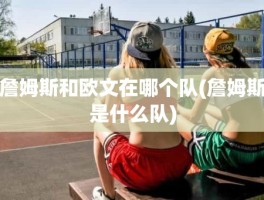 詹姆斯和欧文在哪个队(詹姆斯是什么队)