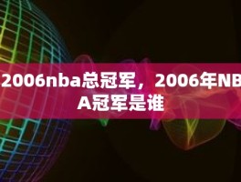 2006nba总冠军，2006年NBA冠军是谁