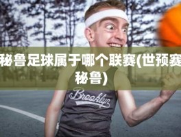 秘鲁足球属于哪个联赛(世预赛秘鲁)