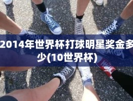 2014年世界杯打球明星奖金多少(10世界杯)