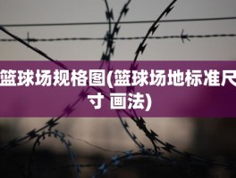 篮球场规格图(篮球场地标准尺寸 画法)