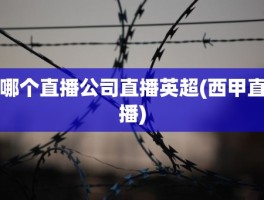 哪个直播公司直播英超(西甲直播)