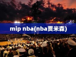 mip nba(nba贾米森)