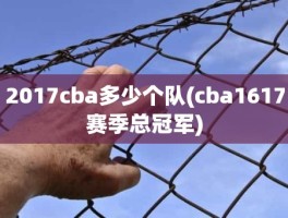 2017cba多少个队(cba1617赛季总冠军)