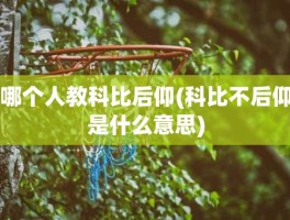 哪个人教科比后仰(科比不后仰是什么意思)