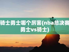 骑士勇士哪个厉害(nba总决赛勇士vs骑士)