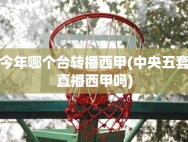 今年哪个台转播西甲(中央五套直播西甲吗)