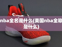 nba全名是什么(美国nba全称是什么)