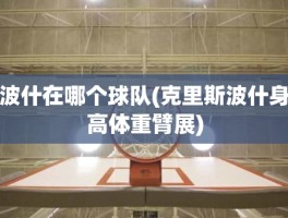 波什在哪个球队(克里斯波什身高体重臂展)